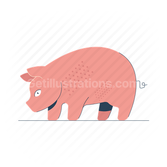 pig, farm, animal, wildlife, nature